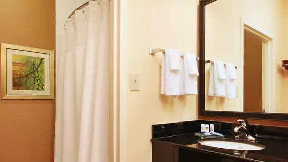 Fairfield Inn by Marriott Las Colinas | Teksas - Dallas (ve civarı) - Irving - Las Colinas