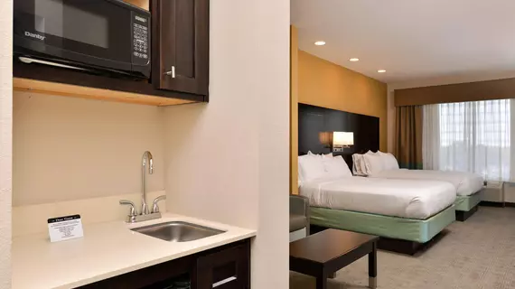 HOLIDAY INN EXPRESS & SUITES AUSTIN SOUTH | Teksas - Austin (ve civarı) - Austin