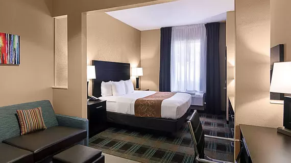 Comfort Suites Houston | Teksas - Houston (ve civarı) - Houston