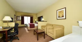 Best Western Plus Mansfield Inn and Suites | Teksas - Fort Worth (ve civarı) - Mansfield