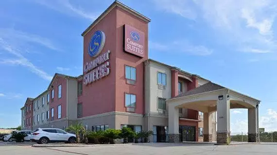 Comfort Suites North IH 35 | Teksas - San Antonio (ve civarı) - San Antonio - Kuzey San Antonio - SAT Havalimanı