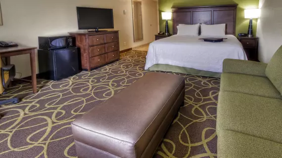 Hampton Inn & Suites Rochester/Henrietta | New York - Rochester (ve civarı) - Rochester