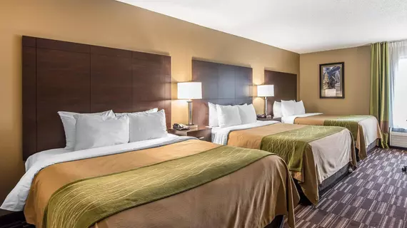 Comfort Inn and Suites Kansas City Northeast | Missouri - Kansas City (ve civarı) - Kansas