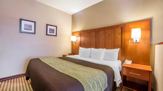 Comfort Inn & Suites North Woods Cross | Utah - Salt Lake City (ve civarı) - Woods Cross