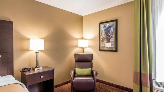 Comfort Inn and Suites Kansas City Northeast | Missouri - Kansas City (ve civarı) - Kansas