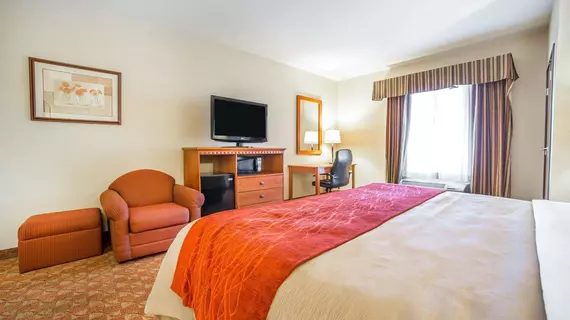 COMFORT INN & SUITES | Nevada - Clark County - Las Vegas (ve civarı) - Las Vegas