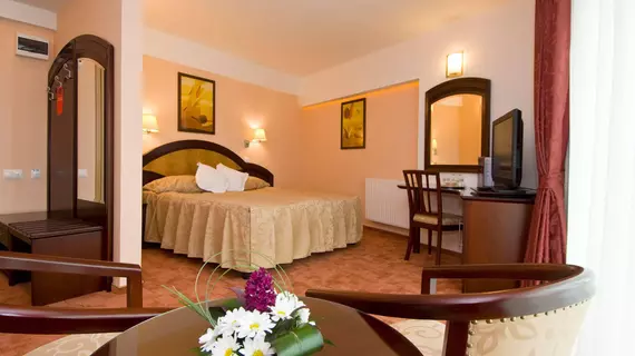 Hotel Ambient | Brasov - Brasov Eski Kent Bölgesi