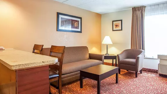 Quality Suites Milwaukee Airport | Wisconsin - Milwaukee (ve civarı) - Milwaukee