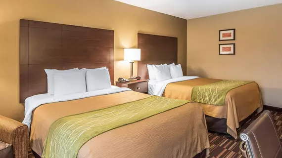 Comfort Inn and Suites Kansas City Northeast | Missouri - Kansas City (ve civarı) - Kansas