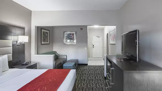 Comfort Suites Vista Ridge Mall | Teksas - Dallas (ve civarı) - Lewisville