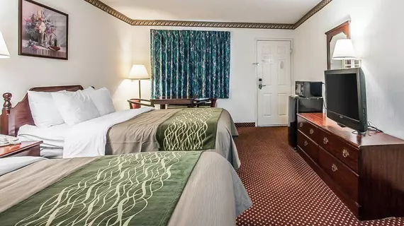 Comfort Inn Southeast | Tennessee - Nashville-Davidson - Nashville (ve civarı) - La Vergne