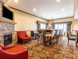 Quality Inn Pontiac | İllinois - Bloomington (ve civarı) - Pontiac