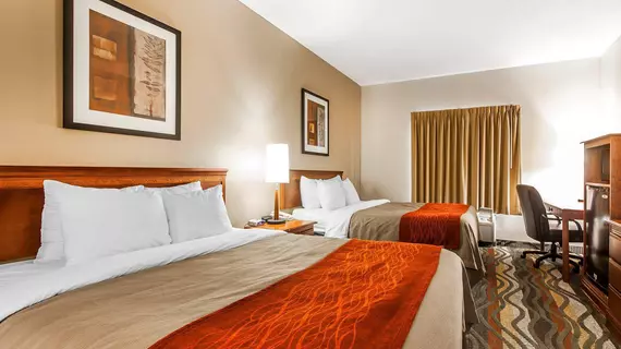 Comfort Inn & Suites Lookout Mountain | Tennessee - Chattanooga (ve civarı) - Chattanooga - Tiftonia