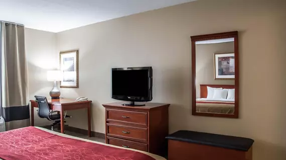 Comfort Inn Near Six Flags St. Louis | Missouri - St. Louis (ve civarı) - Pacific