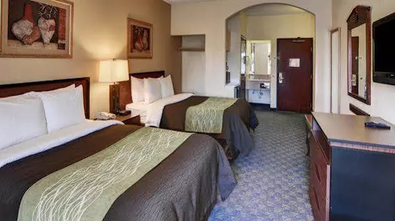 Comfort Inn DFW Airport South | Teksas - Dallas (ve civarı) - Irving