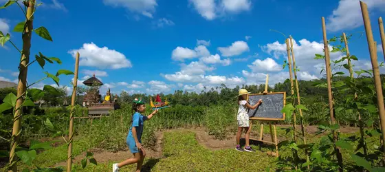 Mandapa, A Ritz-Carlton Reserve | Bali - Ubud - Kedewatan