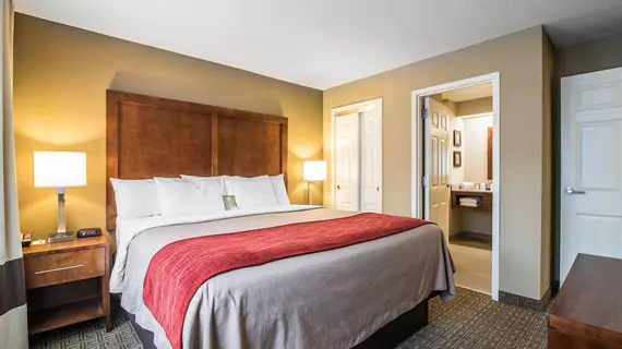 Comfort Inn & Suites North Conway | New Hampshire - North Conway