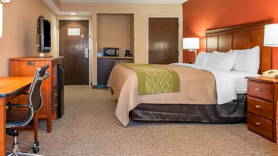 COMFORT INN OXFORD | Ohio - Cincinnati (ve civarı) - Oxford