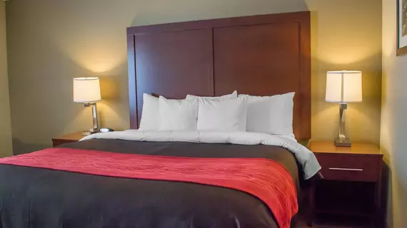 Comfort Inn Mayfield Heights Cleveland East | Ohio - Cleveland (ve civarı) - Mayfield Heights