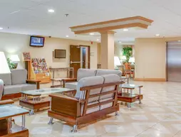 Alexis Inn and Suites Hotel | Tennessee - Nashville-Davidson - Nashville (ve civarı) - Nashville