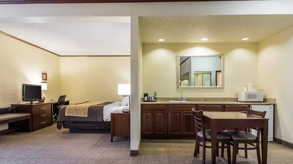 Comfort Inn & Suites Ardmore | Oklahoma - Ardmore (ve civarı) - Ardmore