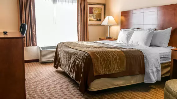 Comfort Inn New Buffalo | Michigan - Benton Harbor (ve civarı) - New Buffalo