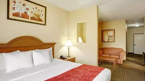 Comfort Suites North IH 35 | Teksas - San Antonio (ve civarı) - San Antonio - Kuzey San Antonio - SAT Havalimanı