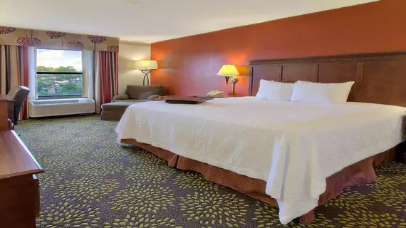 Hampton Inn & Suites Memphis-Wolfchase Galleria | Tennessee - Memphis (ve civarı) - Bartlett - Wolfchase