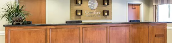 Comfort Inn & Suites Orangeburg | Güney Karolayna - Orangeburg (ve civarı) - Orangeburg