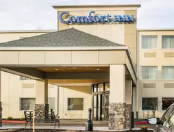 Comfort Inn Mayfield Heights Cleveland East | Ohio - Cleveland (ve civarı) - Mayfield Heights