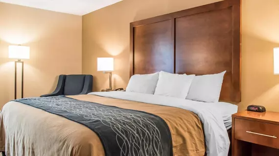 Comfort Inn Clarks Summit | Pensilvanya - Scranton (ve civarı) - Clarks Summit