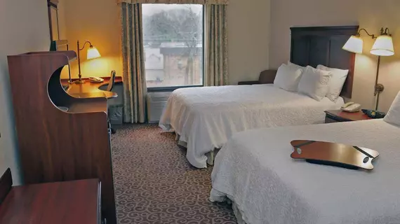 Hampton Inn & Suites Norfolk-Airport | Virginia - Norfolk - Virginia Beach (ve civarı) - Norfolk