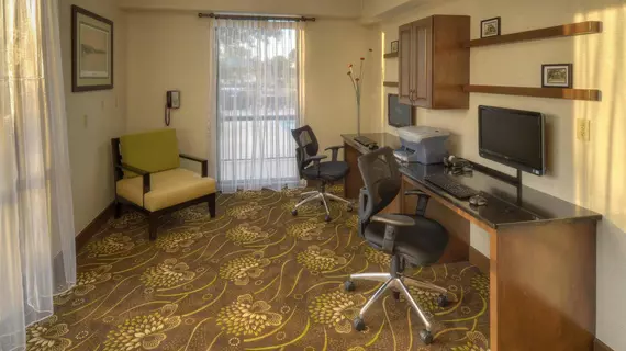 Hampton Inn Georgetown-Marina | Güney Karolayna - Myrtle Plajı (ve civarı) - Georgetown