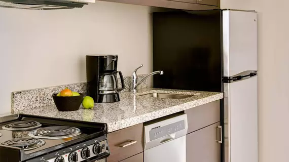 TownePlace Suites Swedesboro Philadelphia | New Jersey - Carneys Point (ve civarı) - Swedesboro