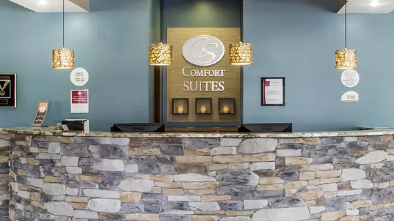 Comfort Suites Hudson | Wisconsin - Hudson (ve civarı) - Hudson