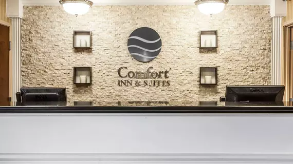 Comfort Inn & Suites Lookout Mountain | Tennessee - Chattanooga (ve civarı) - Chattanooga - Tiftonia