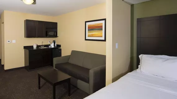 Holiday Inn Express and Suites Detroit North-Troy | Michigan - Detroit (ve civarı) - Troy