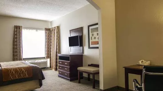 Comfort Inn & Suites Market Center | Teksas - Dallas (ve civarı) - Dallas