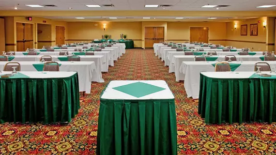 Holiday Inn and Suites Springfield I44 | Missouri - Springfield (ve civarı) - Springfield