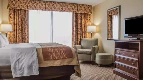 Comfort Inn & Suites Farmington | New York - Rochester (ve civarı) - Farmington