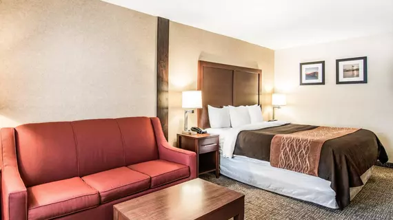 Comfort Inn & Suites Vancouver | Washington - Vancouver (ve civarı) - Vancouver - Downtown Vancouver