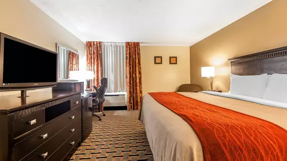 Comfort Inn & Suites Cleveland | Tennessee - Chattanooga (ve civarı) - Cleveland