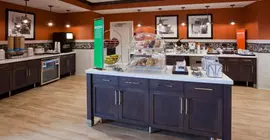 Hampton Inn MinneapolisRoseville | Minnesota - Minneapolis - St. Paul (ve civarı) - Roseville