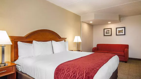 HOLIDAY INN EXPRESS MADISON | Wisconsin - Madison (ve civarı) - Madison