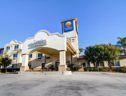 Comfort Inn & Suites Near Temecula Wine Country | Kaliforniya - Riverside County - Temecula (ve civarı) - Murrieta