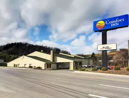 Comfort Inn Princeton | Batı Virginia - Princeton (ve civarı) - Princeton