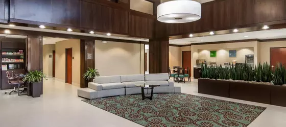 Comfort Suites Houston | Teksas - Houston (ve civarı) - Houston