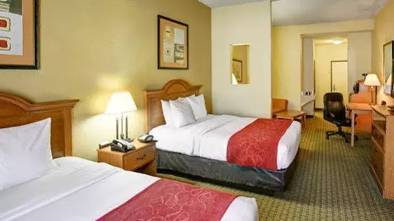 Comfort Suites North IH 35 | Teksas - San Antonio (ve civarı) - San Antonio - Kuzey San Antonio - SAT Havalimanı