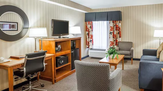 Comfort Inn & Suites Alexandria | Virginia - İskenderiye - Franconia