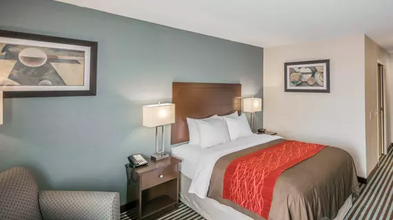 Comfort Inn Corning | New York - Elmira (ve civarı) - Corning